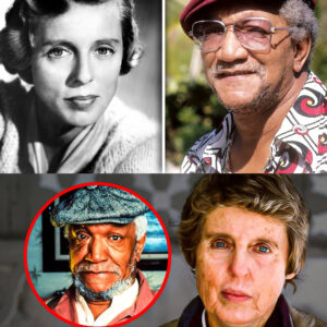 She Secretly Dated Redd Foxx, Now We Know Why