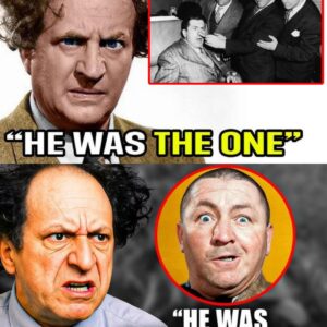 Days Before His Death, Larry Fine Broke His Silence About Curly Howard That Everyone Sh0cked!